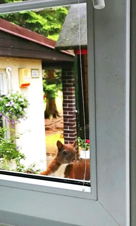 Dame Vam Pokoj - 4 Pokoje Se Sdilenou Kuchyni, Kapacita Max 9 Osob Harrachov Exterior foto